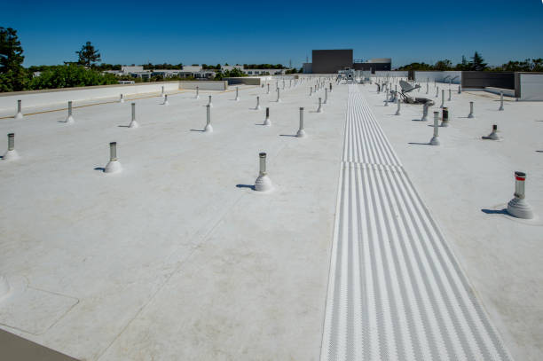 Best Skylight Installation and Repair  in Thompsonville, PA